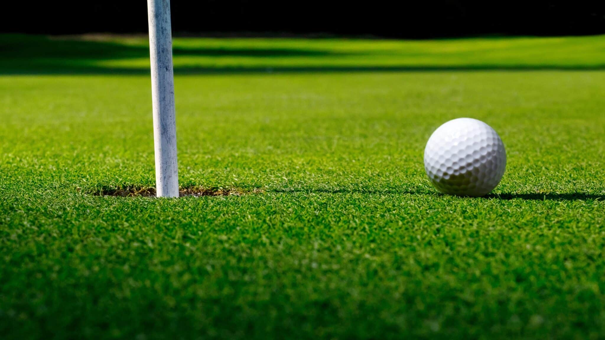 Choosing the Right Grass Seed for Optimal Performance on Golf Courses