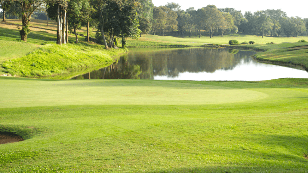 Golfcourse overlooking pond